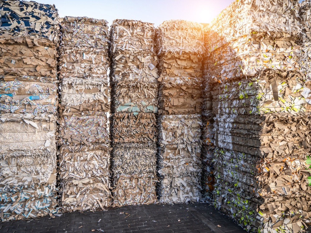 Raccolta carta e cartone Triveneto